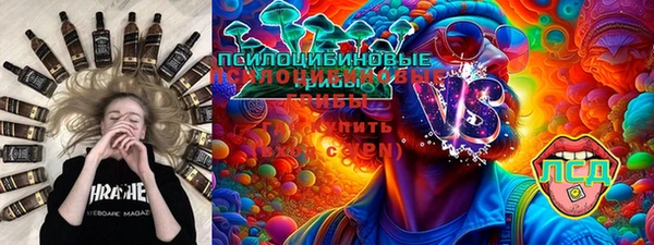 PSILOCYBIN Балабаново