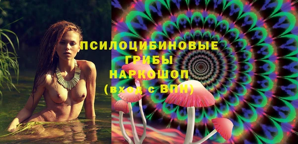 PSILOCYBIN Балабаново