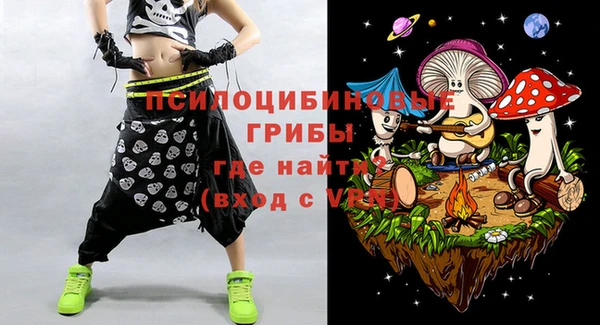 дживик Аркадак