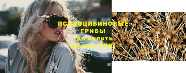 дживик Аркадак